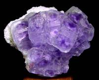 Der violette Kristall